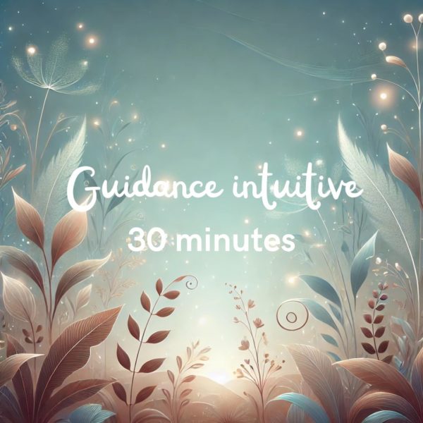 Guidance 30 min